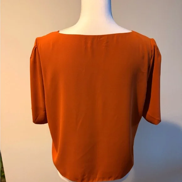 Babaton Rust V-Neck Blouse - Picture 5 of 5